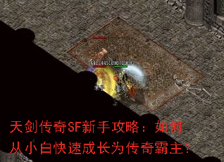 �콣����SF���ֹ��ԣ���δ�С�׿��ٳɳ�Ϊ���������