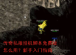 ����˽���һ��ű���Ѱ���ô�ã���������ָ��