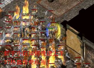 新手小白如何快速上手37热血传奇私服? 新手小白如何快速上手37热血传奇私服?