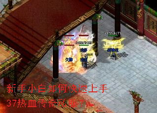 新手小白如何快速上手37热血传奇私服? 新手小白如何快速上手37热血传奇私服?