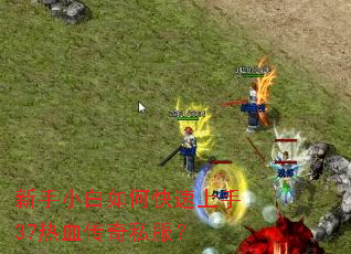 新手小白如何快速上手37热血传奇私服? 新手小白如何快速上手37热血传奇私服?