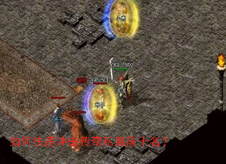 ��ο��ٳ������˽��ǰʮ����