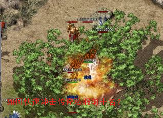 ��ο��ٳ������˽��ǰʮ����