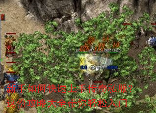新手如何快速上手传奇私服?这份攻略大全带你轻松入门 新手如何快速上手传奇私服?这份攻略大全带你轻松入门