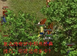 ���Ŵ���SF����Щ���似�ɣ��㻹�ǵö��٣�