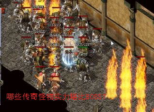 ��Щ�������ʵ������BOSS��