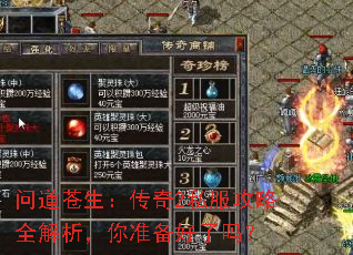 问道苍生:传奇2私服攻略全解析,你准备好了吗? 问道苍生:传奇2私服攻略全解析,你准备好了吗?