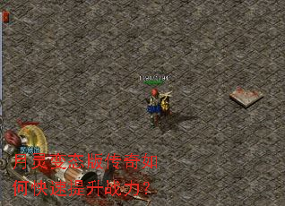 �����̬�洫����ο�������ս����