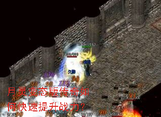 �����̬�洫����ο�������ս����