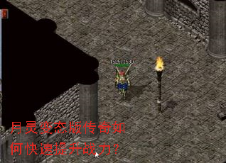 �����̬�洫����ο�������ս����