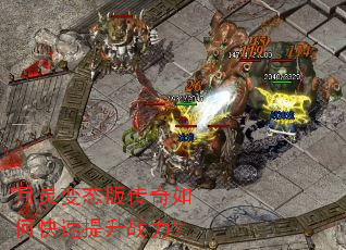 �����̬�洫����ο�������ս����