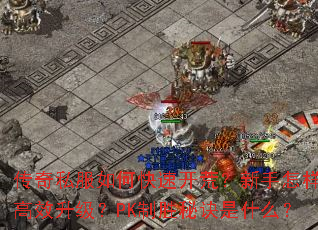 ����˽����ο��ٿ��ģ�����������Ч������PK��ʤ�ؾ���ʲô��