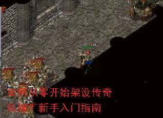 ��δ��㿪ʼ���贫��˽������������ָ��