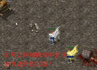 �������������е����ÿ�������30����