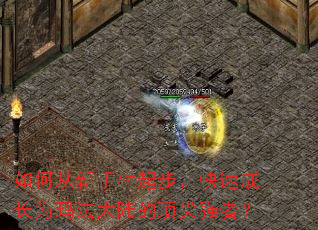 ��δ����ִ��𲽣����ٳɳ�Ϊ�귨��½�Ķ���ǿ�ߣ�