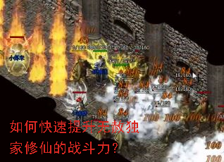 如何快速提升无赦独家修仙的战斗力? 如何快速提升无赦独家修仙的战斗力?