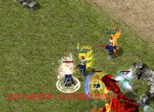 ��ο�������1t5t�����ɫ�ȼ���