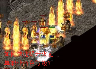 ��ο�������������ְҵ��ɫ�ȼ���