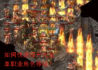 ��ο�������������ְҵ��ɫ�ȼ���