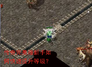 ����������������ο��������ȼ���