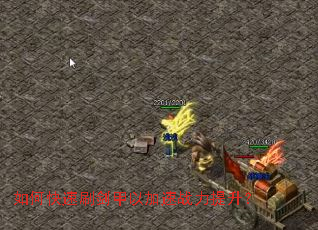 ��ο���ˢ�����Լ���ս��������