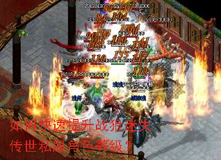 ��ο�������ս����ʧ����˽����ɫ�ȼ���