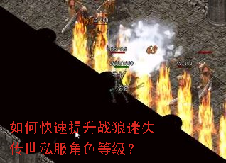 ��ο�������ս����ʧ����˽����ɫ�ȼ���