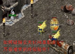 ����ƽ����컯��ְҵ��ȯ������ռ����ܣ�