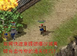 ��ο�������ȼ��ɳ��Ӣ�ۺϻ������ͨ�ؼ��ɣ�