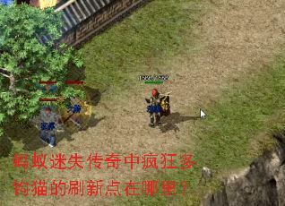 ������ʧ�����з��๳è��ˢ�µ������