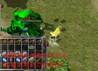 ������ʧ�����з��๳è��ˢ�µ������