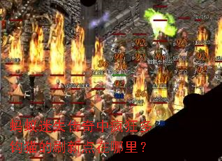 ������ʧ�����з��๳è��ˢ�µ������