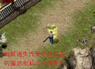 ������ʧ�����з��๳è��ˢ�µ������