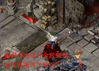 如何快速提升金猴蝴蝶版本私服角色等级? 如何快速提升金猴蝴蝶版本私服角色等级?