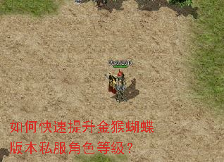 如何快速提升金猴蝴蝶版本私服角色等级? 如何快速提升金猴蝴蝶版本私服角色等级?