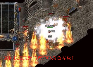 ��ο�����������2006��ɫ�ȼ���