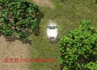 ս��˫��˫����λ�ȡ��