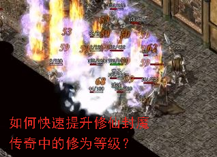 ��ο����������ɷ�ħ�����е���Ϊ�ȼ���