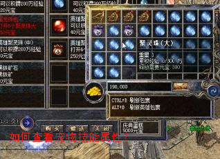 ��β鿴���＼�����ԣ�