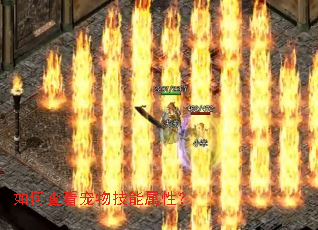 ��β鿴���＼�����ԣ�