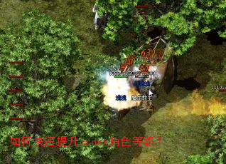 如何快速提升crnxx角色等级? 如何快速提升crnxx角色等级?