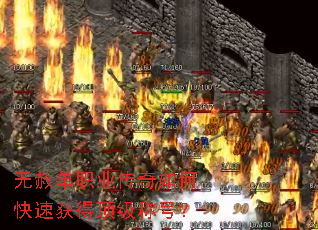 ���ⵥְҵ������ο��ٻ�ö����ƺţ�