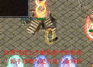 ��ο������ֳ��׸����·������ֹ�������׼���ȫ����