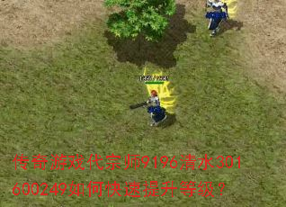 ������Ϸ����ʦ9196��ˮ301600249��ο��������ȼ���