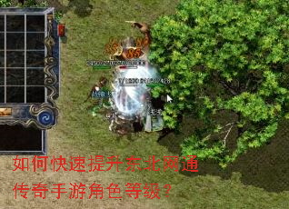 如何快速提升东北网通传奇手游角色等级? 如何快速提升东北网通传奇手游角色等级?