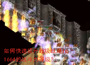 ��ο�����������ս��161664��ս�����ȼ���