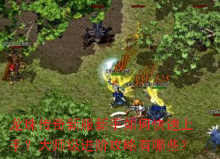 ���鴫���·�������ο������֣���ʦ�����׹�������Щ��