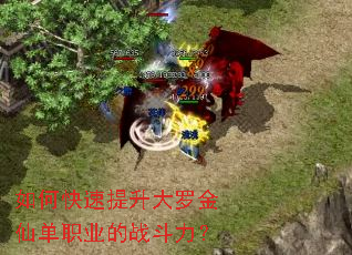 如何快速提升大罗金仙单职业的战斗力? 如何快速提升大罗金仙单职业的战斗力?