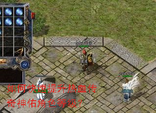 ��ο���������Ѫ�������ӽ�ɫ�ȼ���