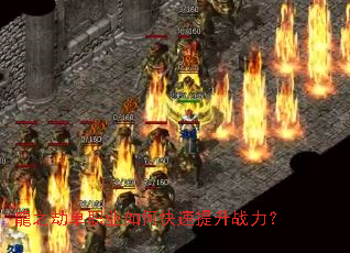 ��֮�ٵ�ְҵ��ο�������ս����